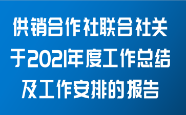 供销合作社联合社关于2021年度工作总结及工作安排的报告