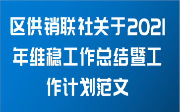 区供销联社关于2021年维稳工作总结暨工作计划范文