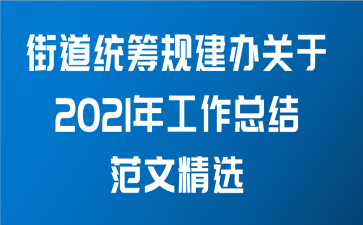 街道统筹规建办关于2021年工作总结范文精选