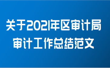 关于2021年区审计局审计工作总结范文