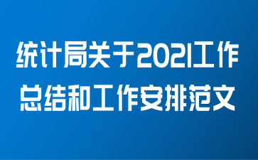 统计局关于2021工作总结和工作安排范文