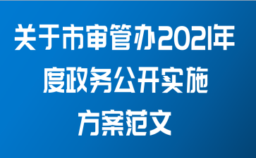 关于市审管办2021年度政务公开实施方案范文