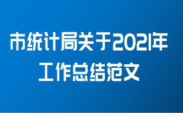 市统计局关于2021年工作总结范文