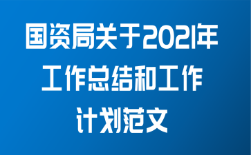 国资局关于2021年工作总结和工作计划范文