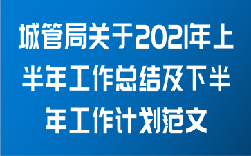 城管局关于2021年上半年工作总结及下半年工作计划范文