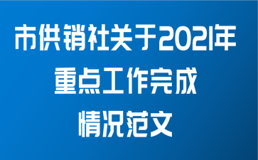 市供销社关于2021年重点工作完成情况范文