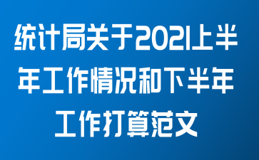 统计局关于2021上半年工作情况和下半年工作打算范文