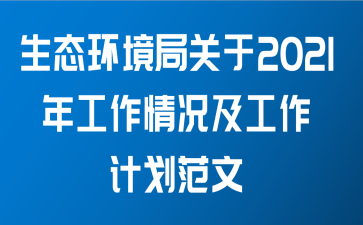 生态环境局关于2021年工作情况及工作计划范文