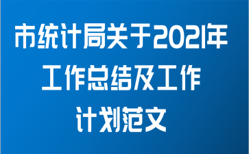 市统计局关于2021年工作总结及工作计划范文