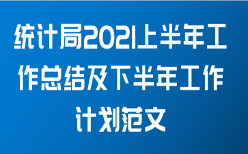 统计局2021上半年工作总结及下半年工作计划范文