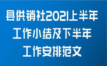 县供销社2021上半年工作小结及下半年工作安排范文