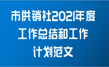 市供销社2021年度工作总结和工作计划范文