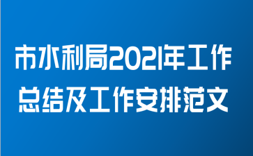 市水利局2021年工作总结及工作安排范文