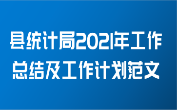 县统计局2021年工作总结及工作计划范文