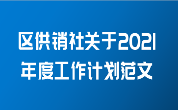 区供销社关于2021年度工作计划范文