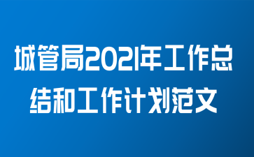 城管局2021年工作总结和工作计划范文