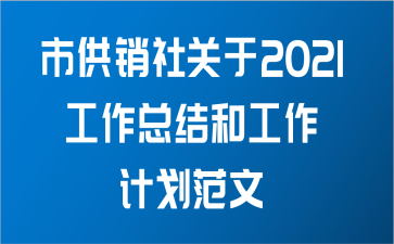 市供销社关于2021工作总结和工作计划范文